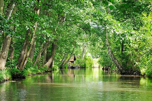 Mare Tourism galeri görseli 3